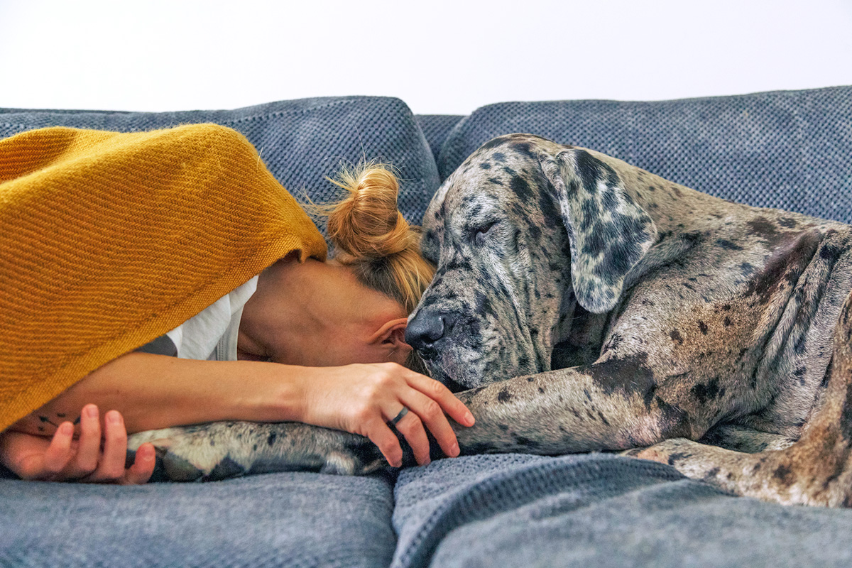 person cuddling with a dog on a couch