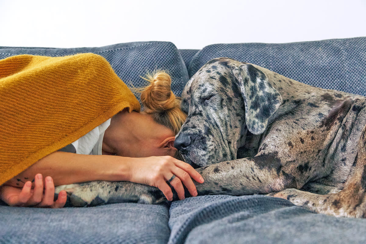 person cuddling with a dog on a couch