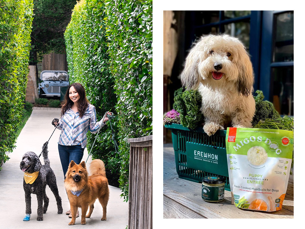 Founder Caroline Artiss; a dog poses with Migos Dog Puppy Meatball Entree.