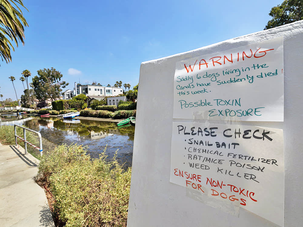 a sign along the venice canals warning dog parents about recent deaths of dogs living near the canals