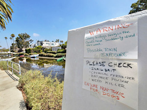 a sign along the venice canals warning dog parents about recent deaths of dogs living near the canals