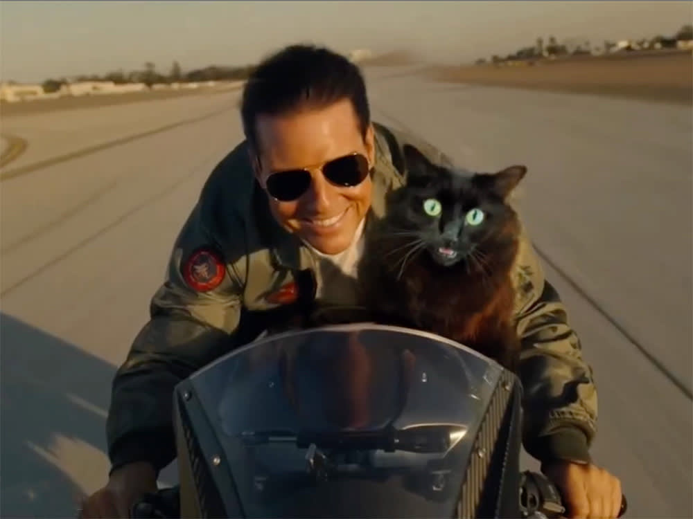 Tom Cruise and black cat ride motorcycle.