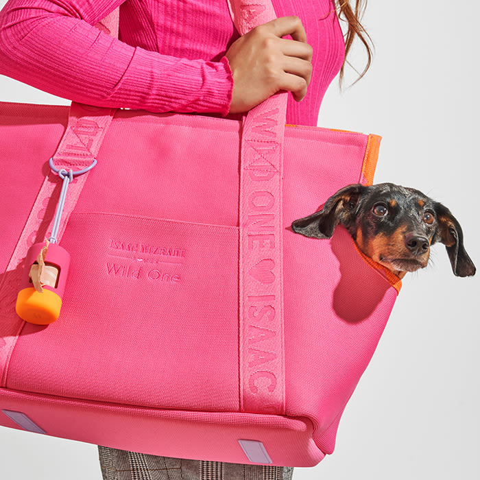 dog in a pink bag