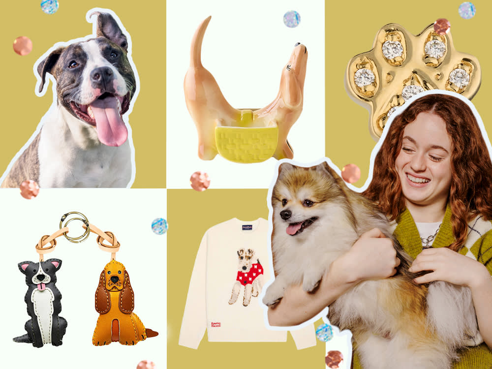 Person with a dog surrounded by products including a dog bag charm and a dog sweater