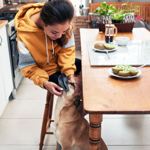 Girl with plate of kiwi sitting at table stroking dog
