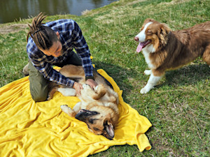 Man playing with his two dogs outside in the grass.