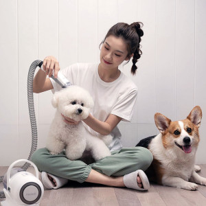 woman with a bison friese and corgi, vacuuming the white dog on her lap