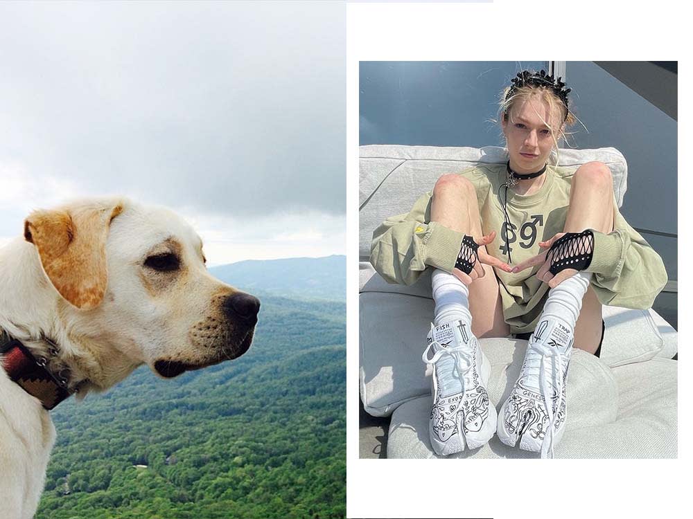 hunter schafer and dog