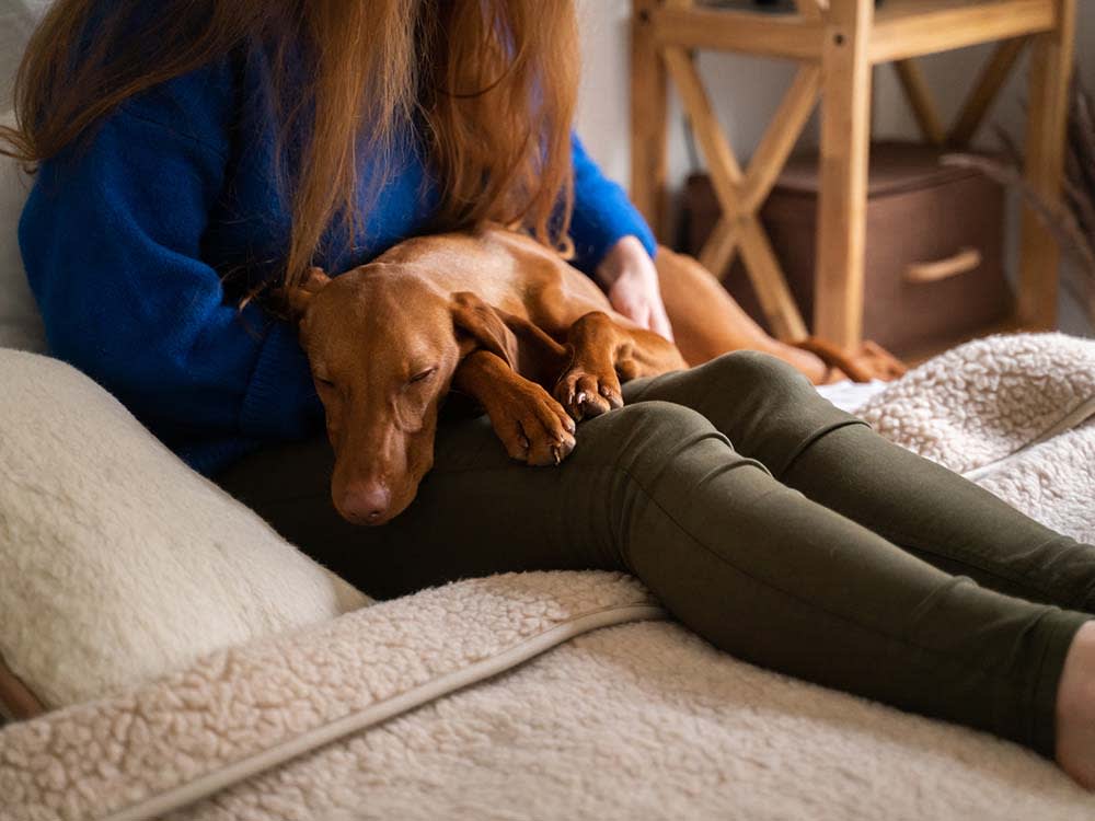 Red-haired woman holding sleeping dog in her lap on the bed