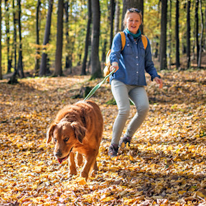 Woman walking her dog outside on a leash.