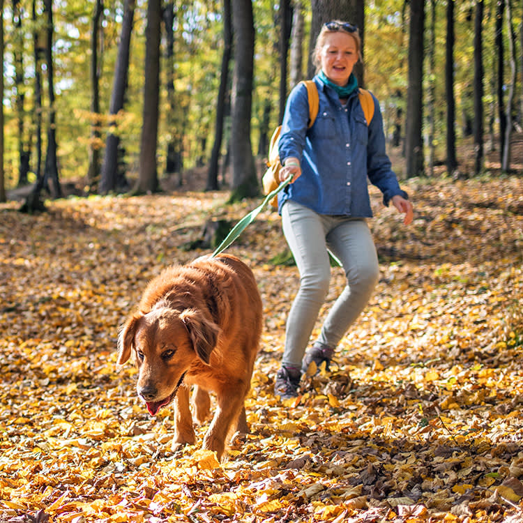 Woman walking her dog outside on a leash.
