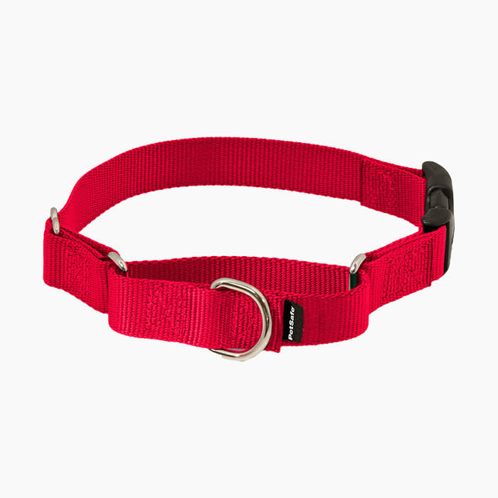 petsafe martingale collar