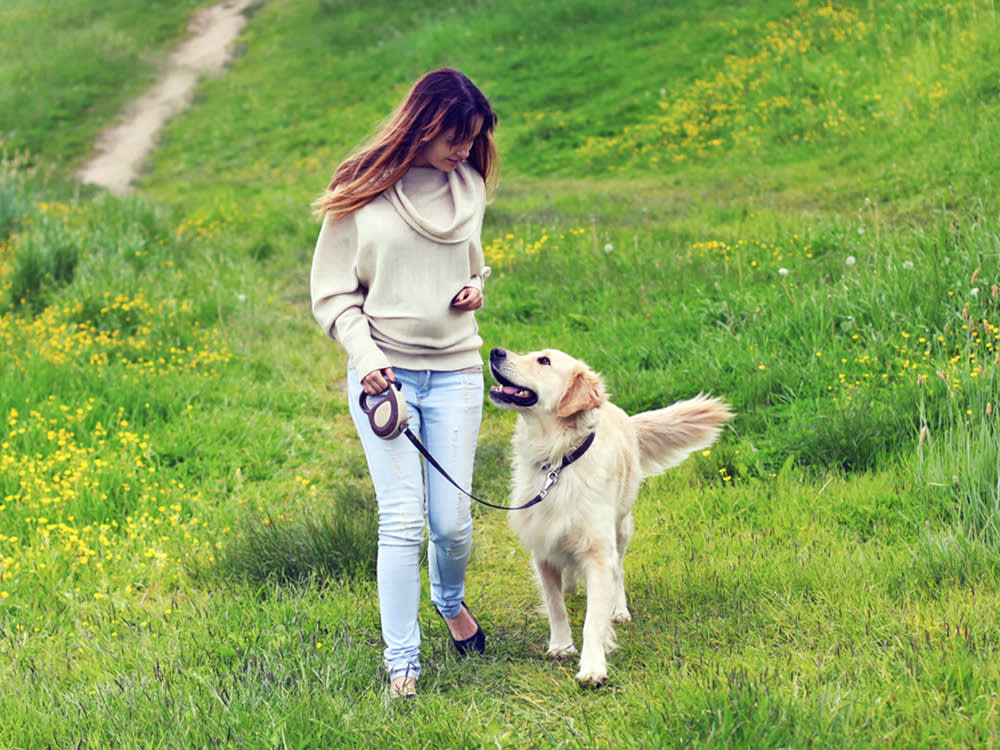Woman walking a dog on a lead