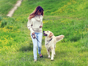 Woman walking a dog on a lead