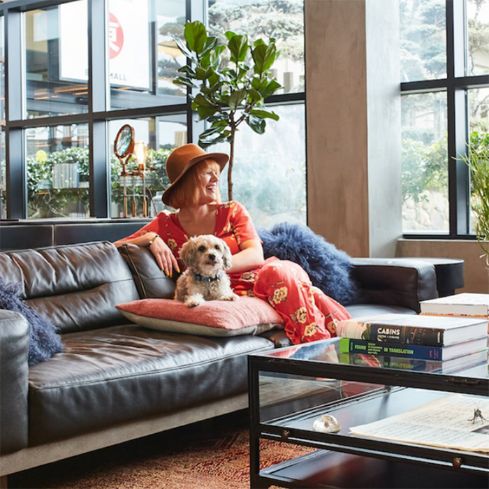 a small dog and a person on a couch at Kabuki