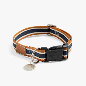 shinola pet nylon collar