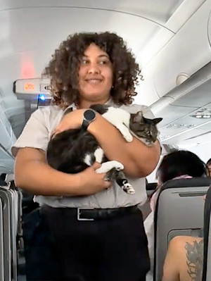 Flight attendant holding cat in her arms while on a plane.