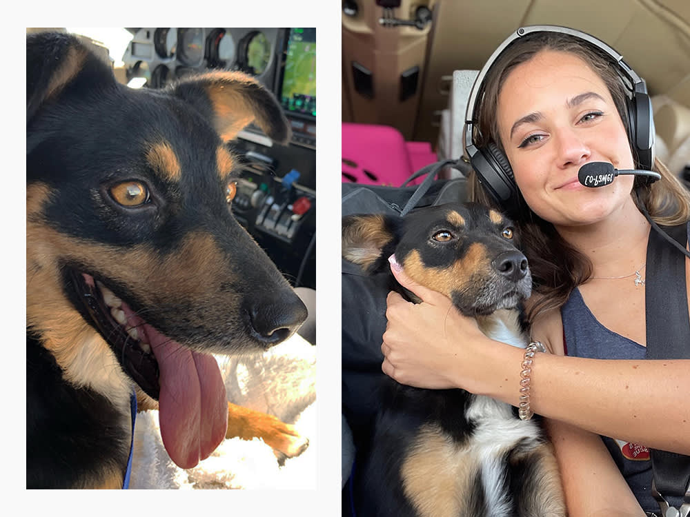 a brown dog poses with a pilot who wears a microphone headset