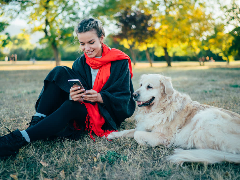 Young woman with her senior dog in the autumn park. 