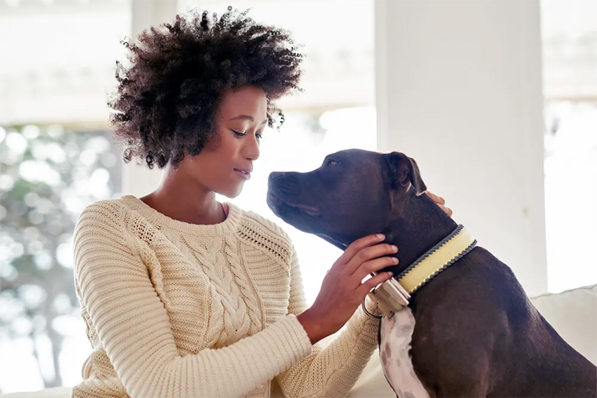 Person looking at dog 