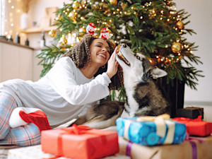 Woman playing with her Husky dog at home during Christmas.
