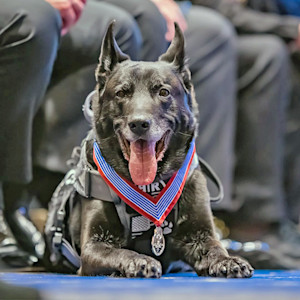 Hurricane, Dog Who Protected Obama From a White House Intruder, Has Died