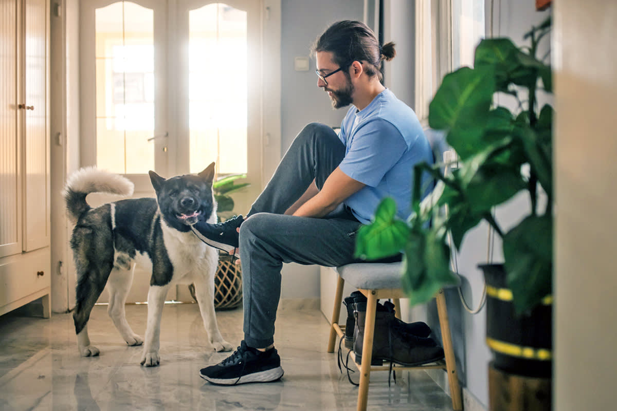 person putting shoes on in front of a dog
