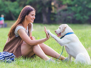 Beautiful young girl playing with a puppy Labrador in the park.