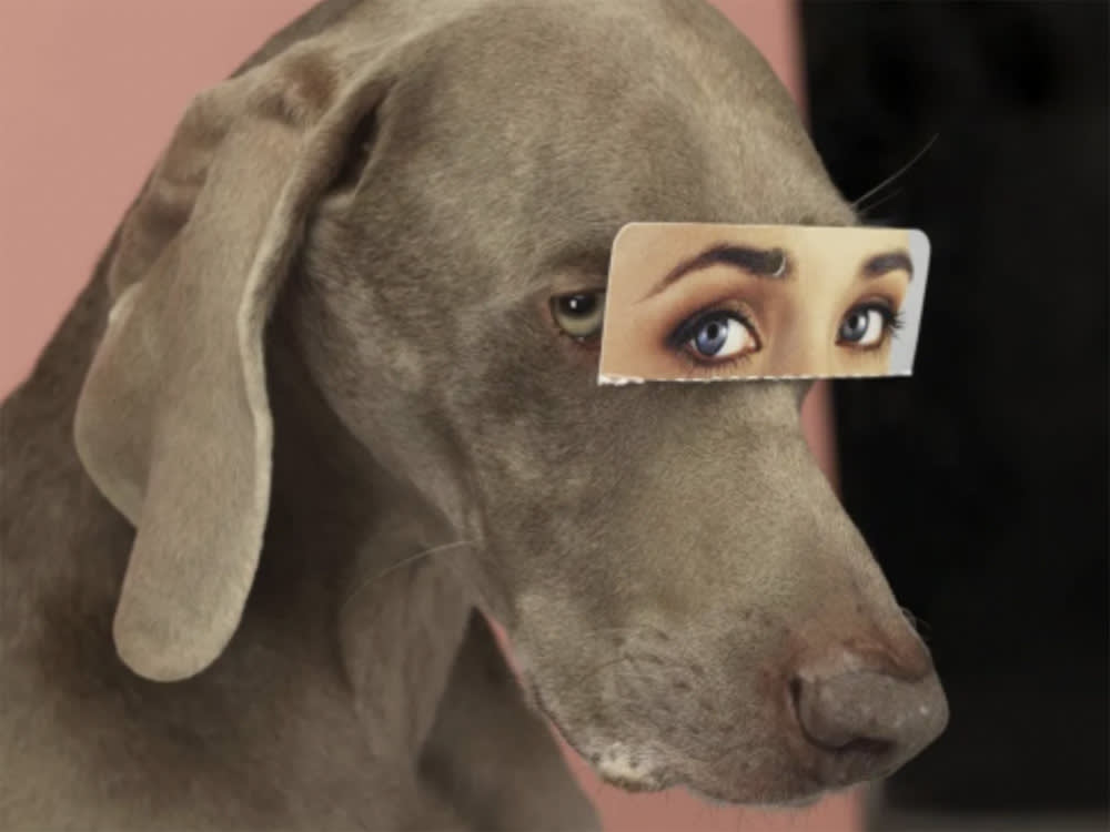 A brown dog with a human’s eyes superimposed over their face, by William Wegman