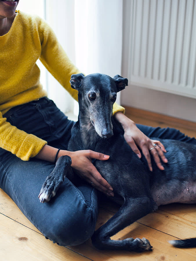 a woman pets her elderly black greyhound