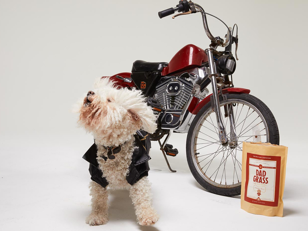 dog listening to records next to speaker and dad grass treats