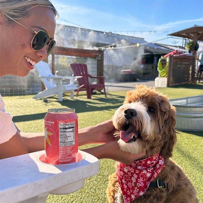 a dog outdoors at Dog Yard bar