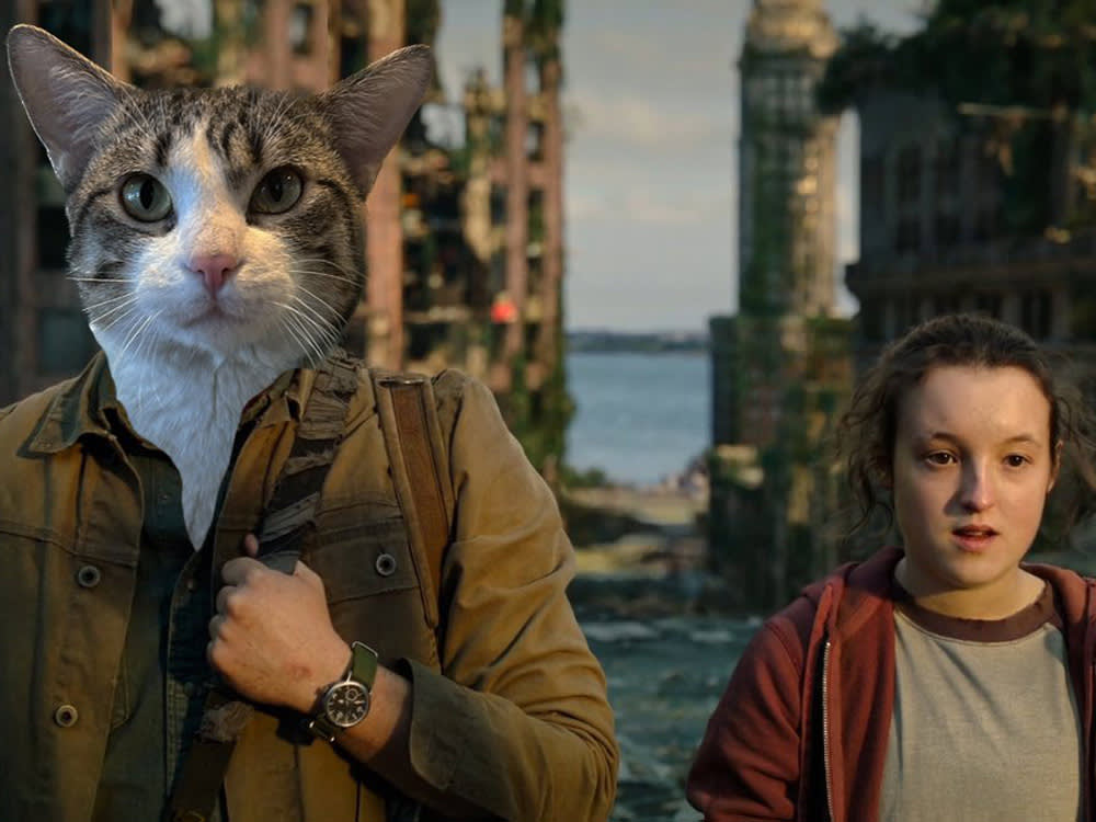 Photoshopped crop of a cat edited on top of actor Pedro Pascal’s body, next to actor Bella Ramsey in “The Last of Us”