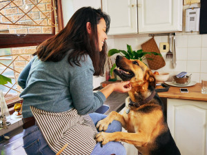 A young woman giving her German Shepherd mixed breed dog scratches in her kitchen