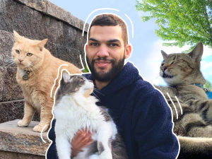 Catluminati with his cats