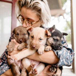 a person with short blonde hair and glasses hugs three rescue puppies and kisses one on the head