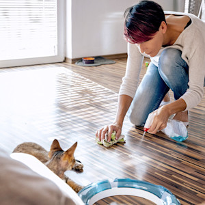Woman cleaning up her cat's mess on the floor.