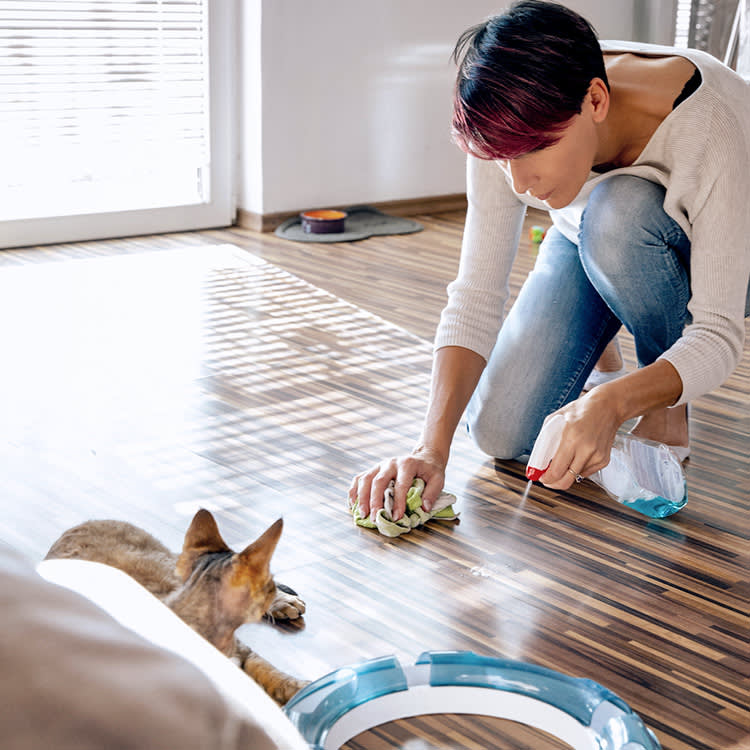 Woman cleaning up her cat's mess on the floor.