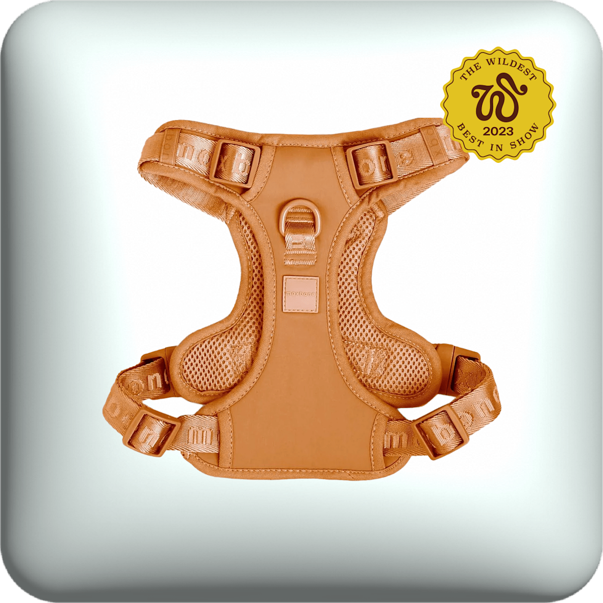 Maxbone puppy harness in caramel