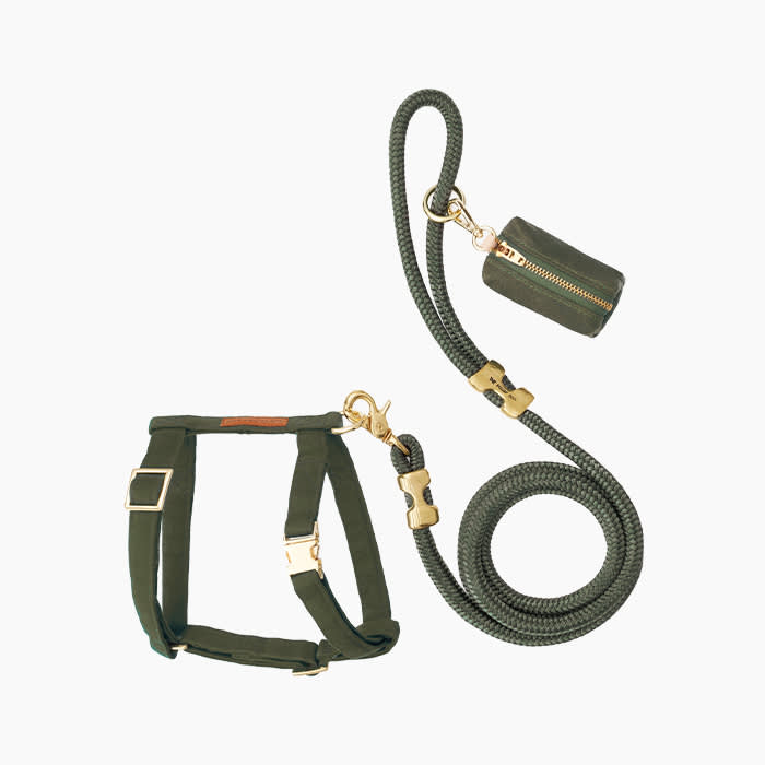 the green harness set