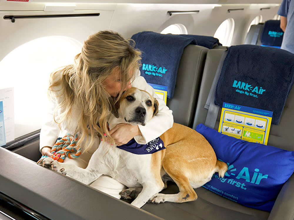 BARK Air is here to deliver a white paw experience. We built our flight experience for dogs first, from the ground up.