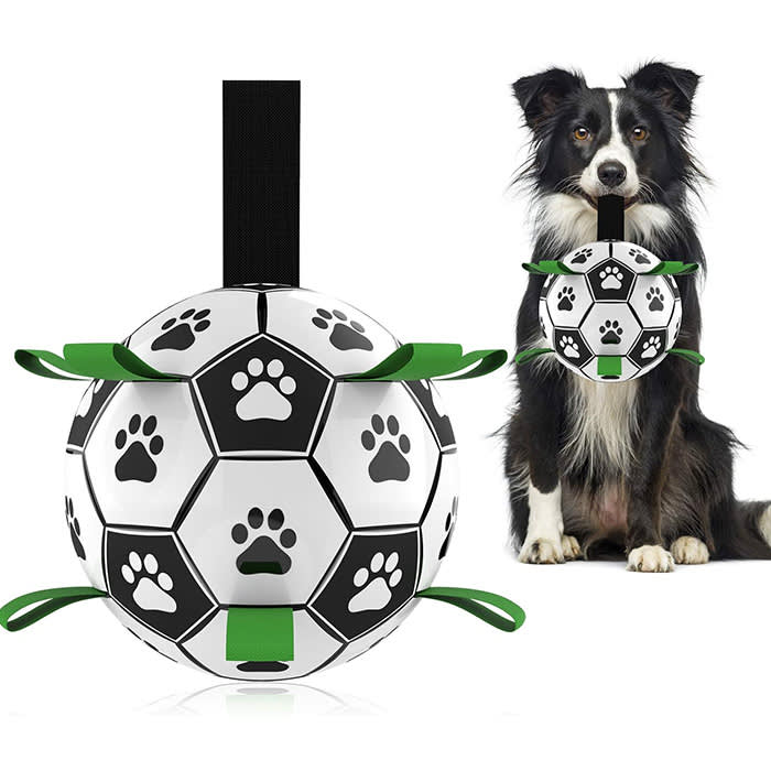 Dog football