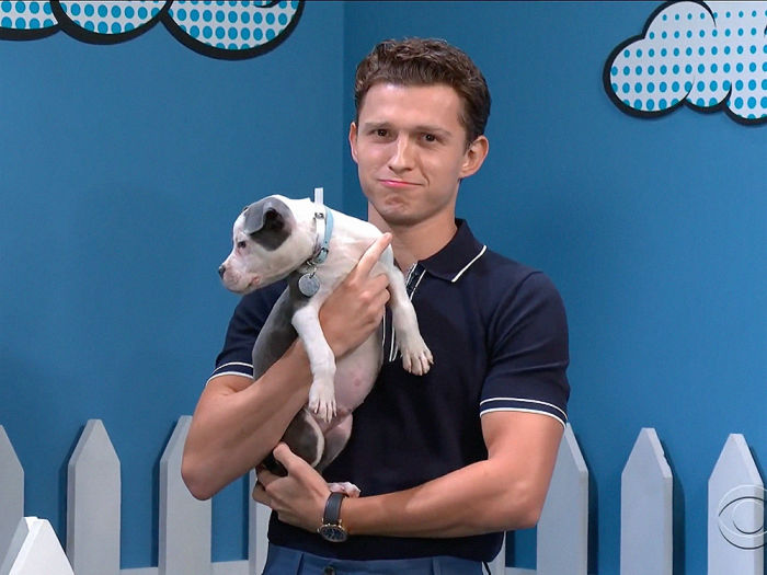 Tom Holland holding a puppy. 
