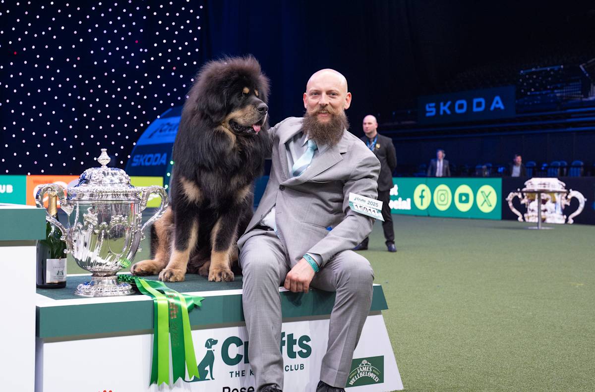 Crufts Reserve Best in Show 2025