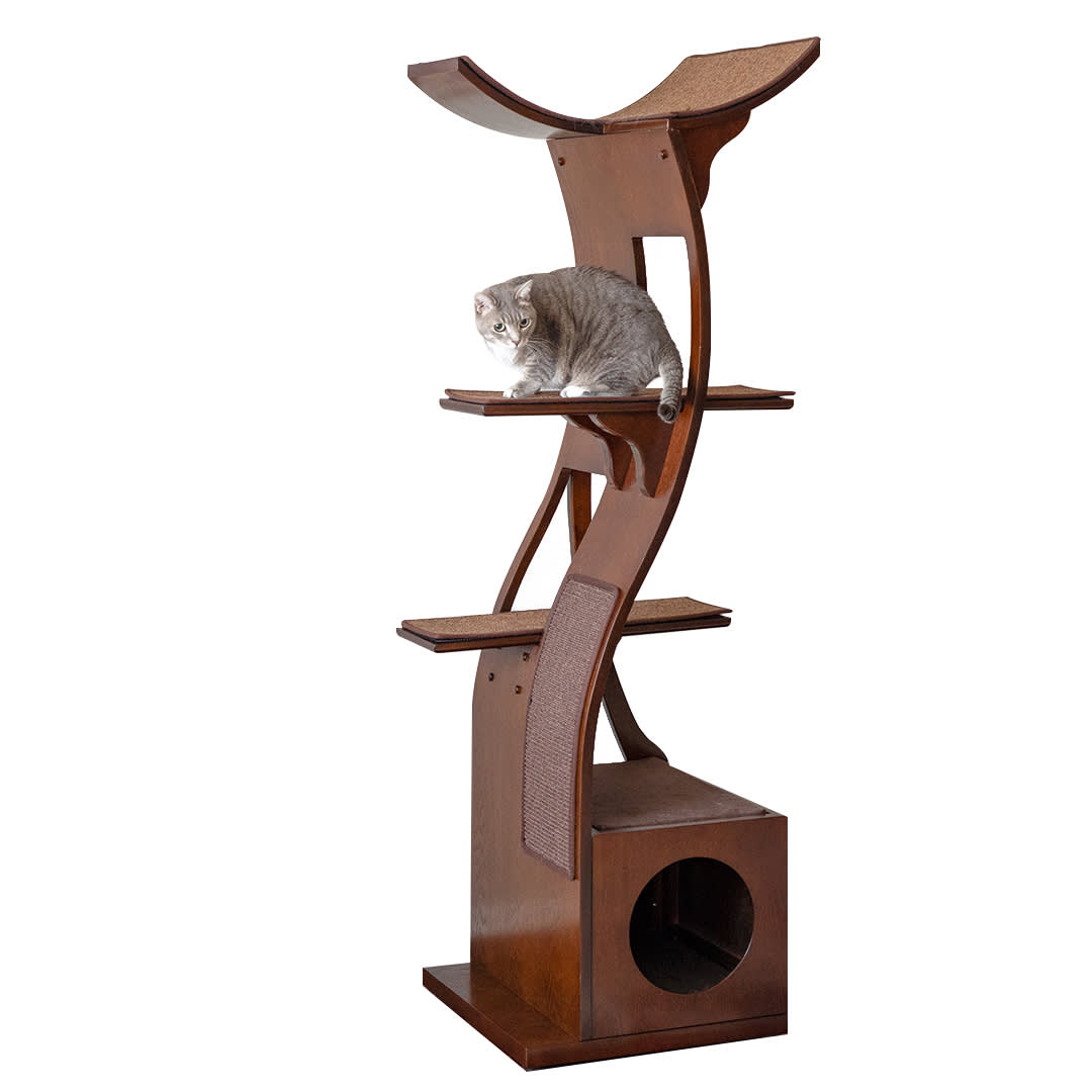 the lotus cat tower