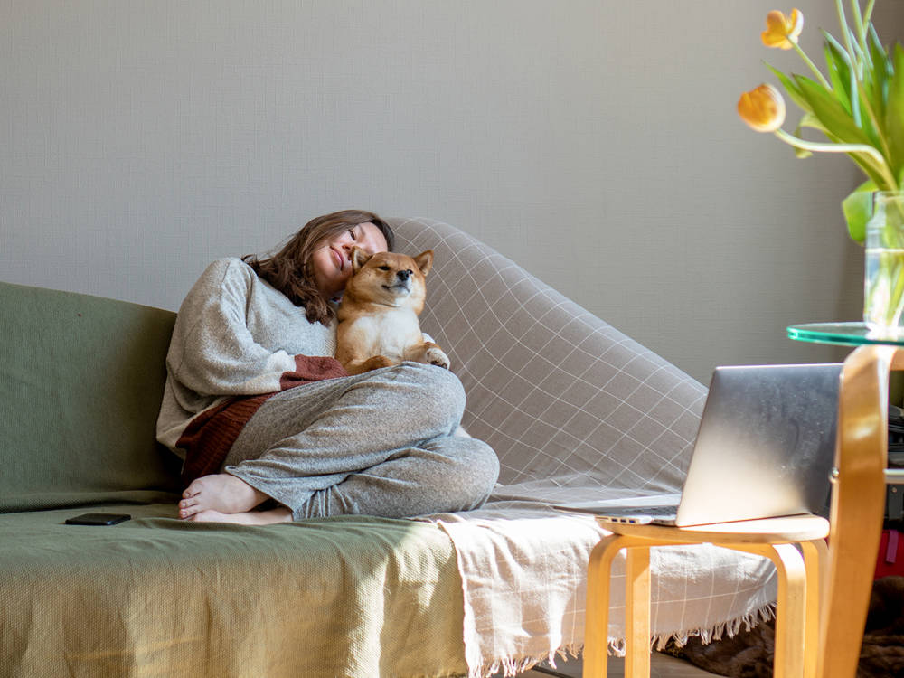 shiba inu snuggling on couch with woman