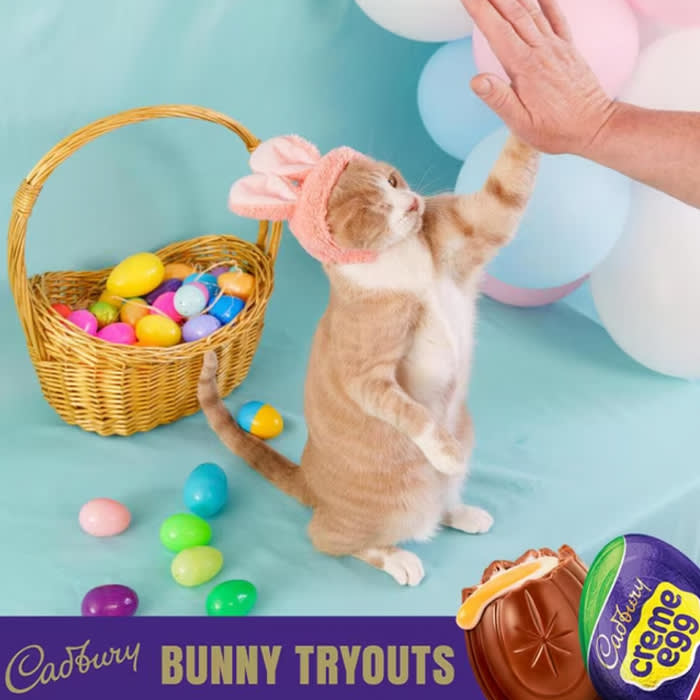 Crash the Cat wears bunny ears while giving a high five, surrounded by a basket full of Easter eggs 