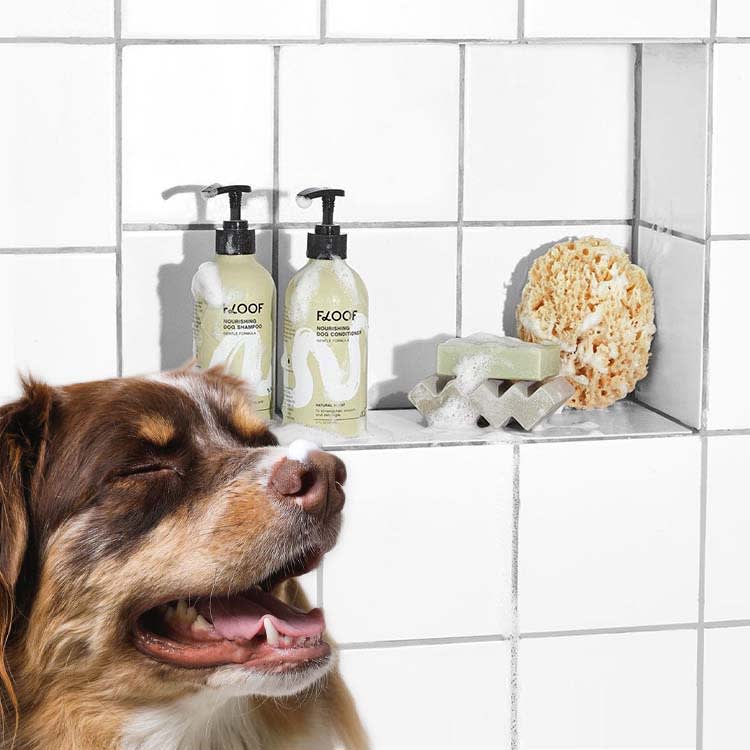 Floof Takes a Gentle Approach to Your Itchy Dog's Skincare · The Wildest