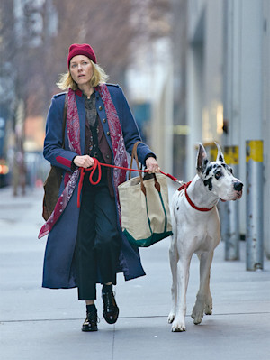 Naomi Watts and a large dog in a still from The Friend