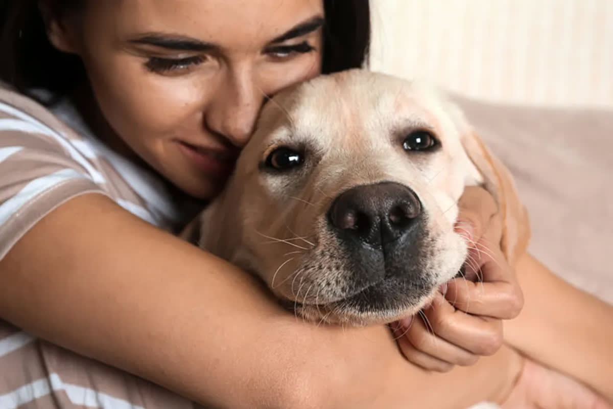 Person hugging a dog